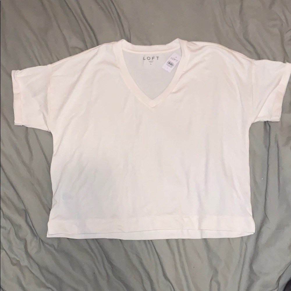 Loft Cream Short Sleeve Cropped Sweater